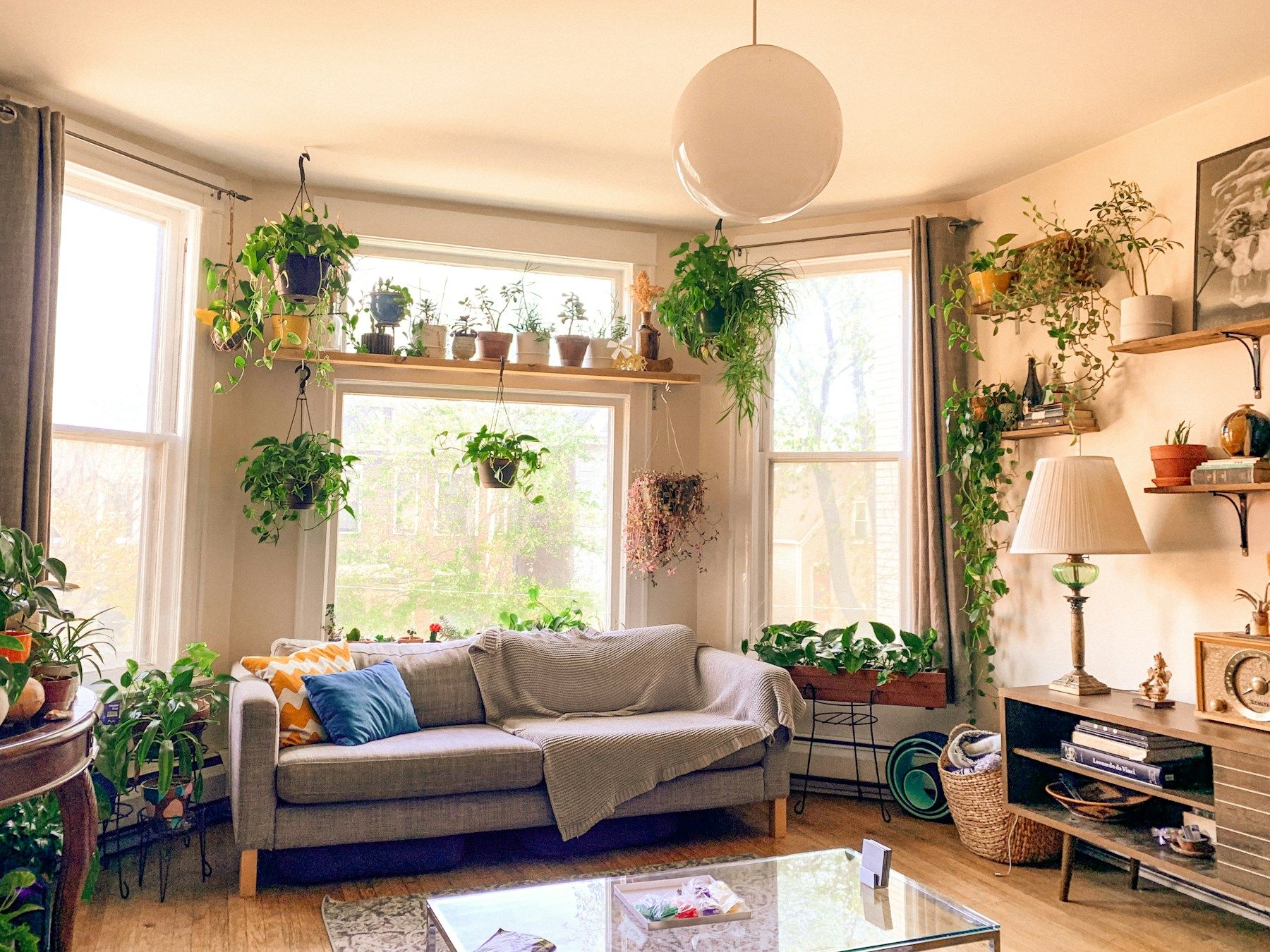 Salon lumineux avec une grande fenêtre en bow-window, un canapé et des plantes suspendues