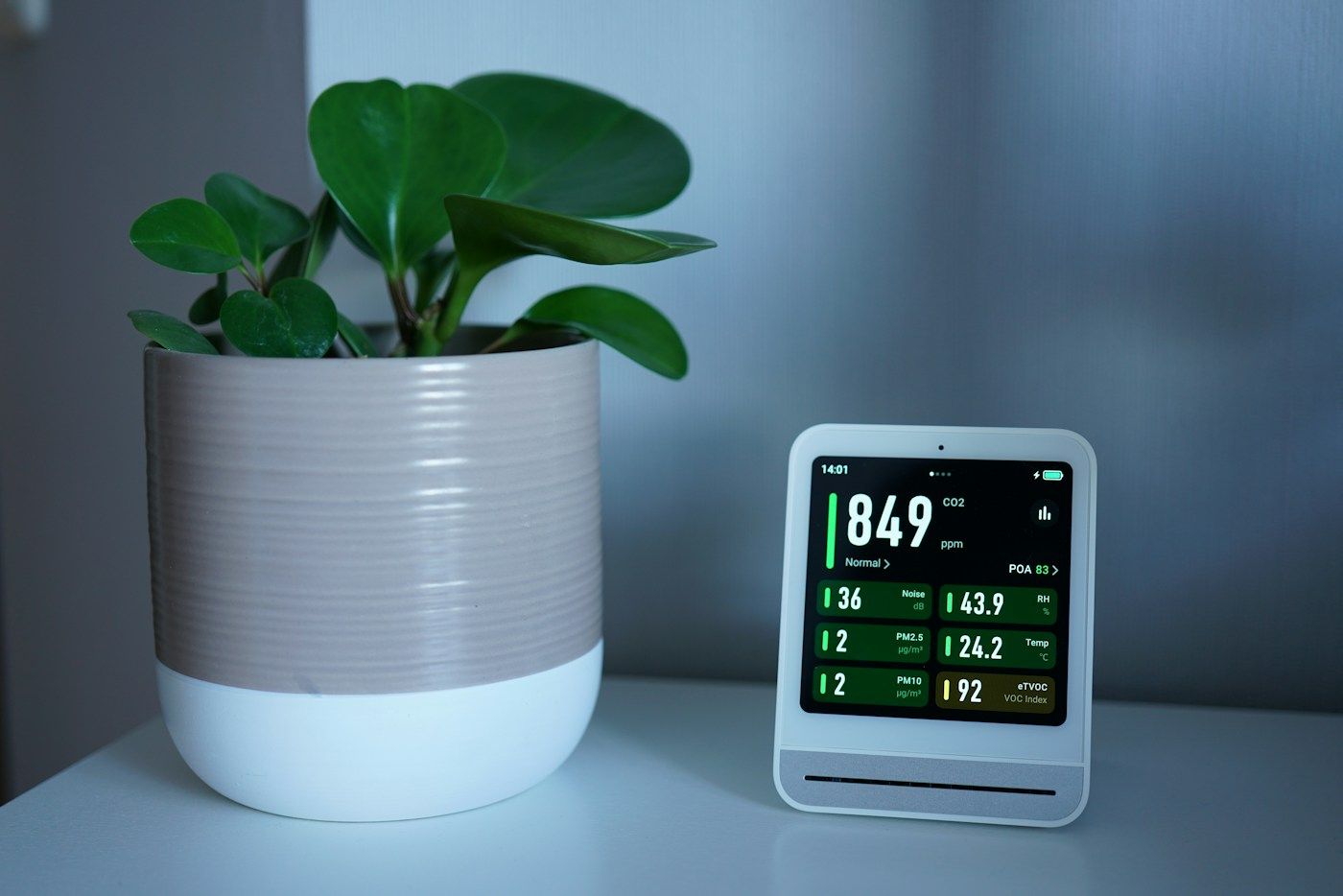 Petit capteur de qualité de l'air à écran posé sur une étagère à côté d'une plante verte